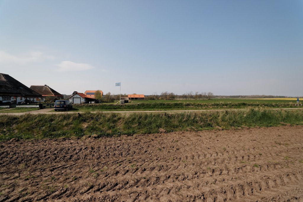 Texel - Westerweg - 7 May 2013 - View NNW by txllxt