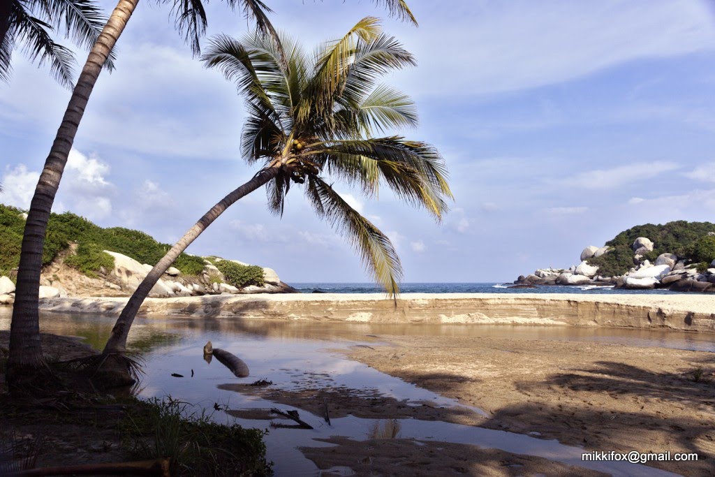 Santa Marta, Magdalena, Colombia by mikkifox