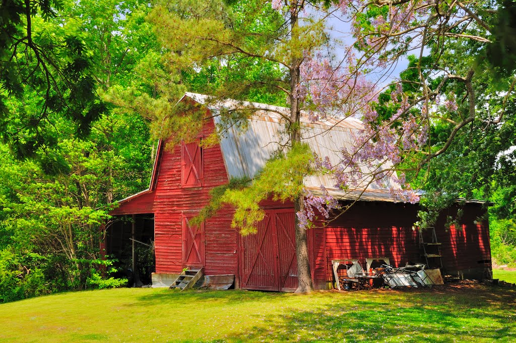 VIRGINIA: JAMES CITY COUNTY: TOANO: barn at The Old Homestead on the Hazelwood farm by Douglas W. Reynolds, Jr.