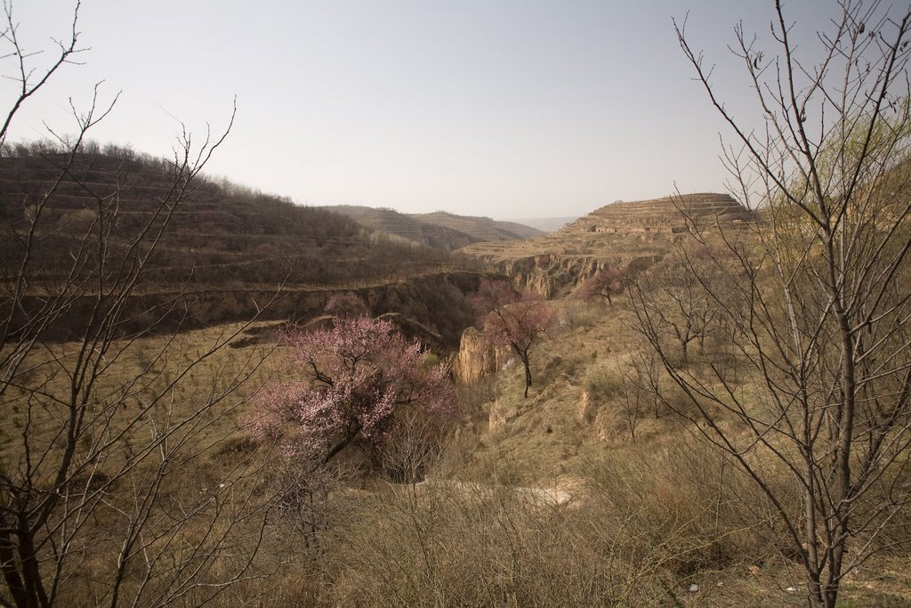 Jingchuan, Pingliang, Gansu, China by The Longest Way