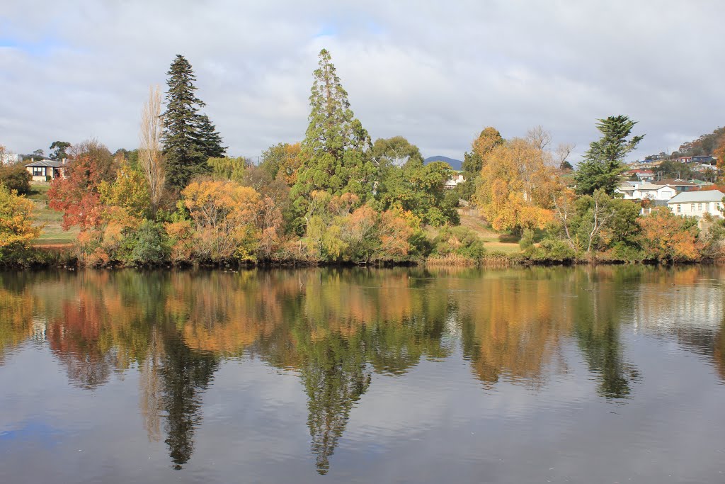 Autumn Colours, New Norfolk, Tasmania by Theo V L