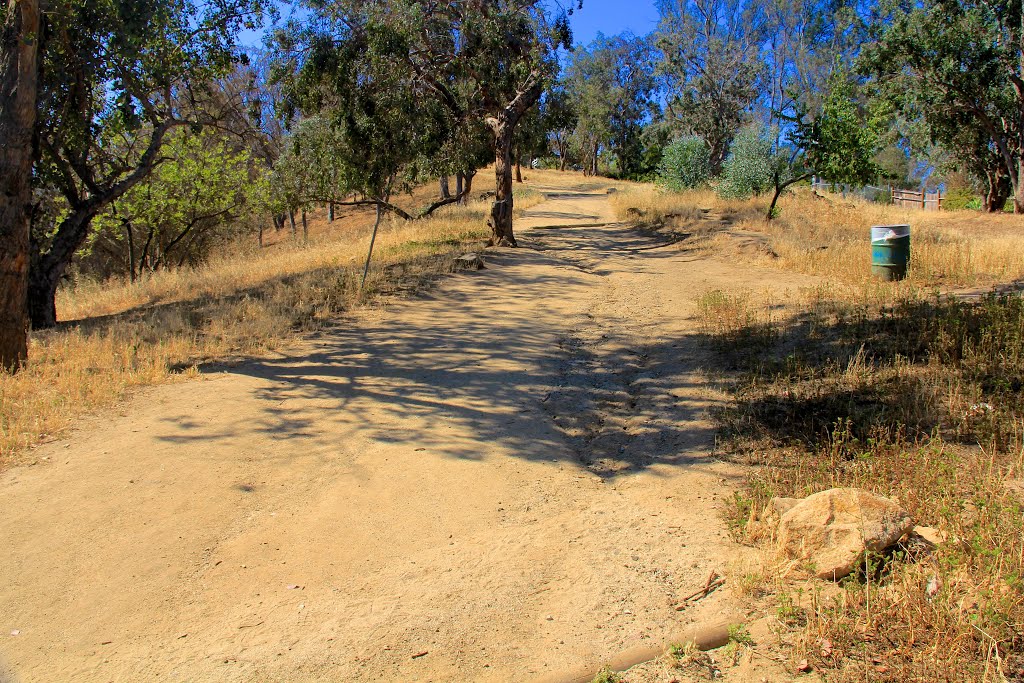 Sights along the trail in northwest section of Elysian Park, Los Angeles, California by Michael Jiroch