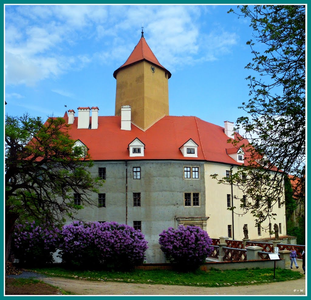 2013-05-08, Česká republika, Jihomoravský kraj, Hrad Veveří - (popis viz komentář č.1) // 08/05/2013, Czech Republic, South Moravian Region, castle - (description see comment # 1) by Petr19, Zastávka, CZ