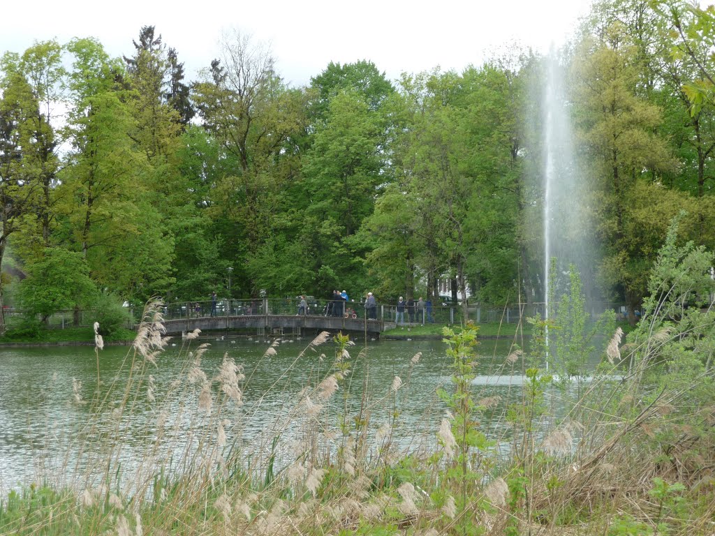 Springbrunnen im Stadtweiher by bienenritter