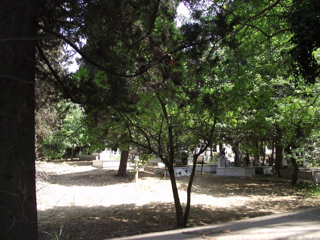 Kadıköy, Hasanpaşa, Rum Ortodoks Mezarlığı by Kasım OKTAY