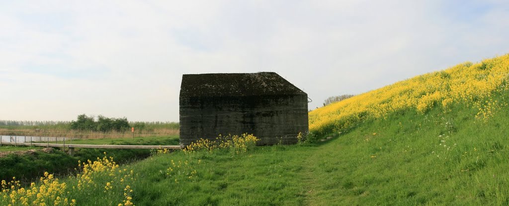 Zijderveld - Diefdijk : Bunker 599 by John Scholte