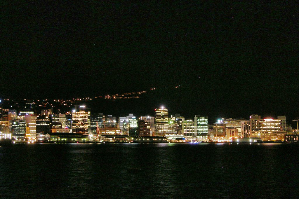 Wellington night by Eva Kaprinay