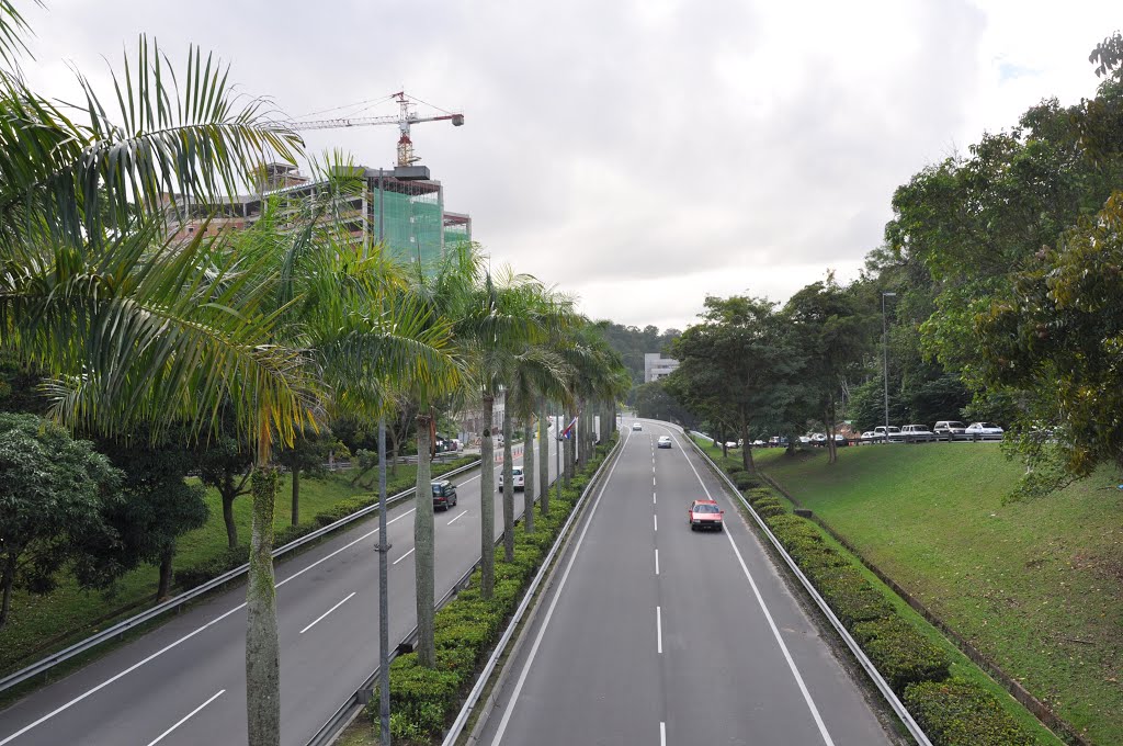 Dean-sultan hassanal bolkiah highway by dean djakovic