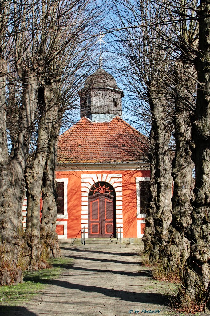 Klütz, Allee zum Mausoleum by PhotoSN 2