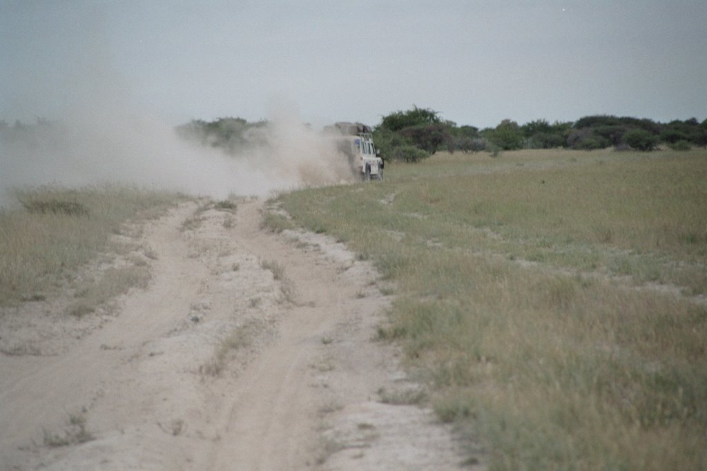 Makgadikgadi Pan by ewkvienna