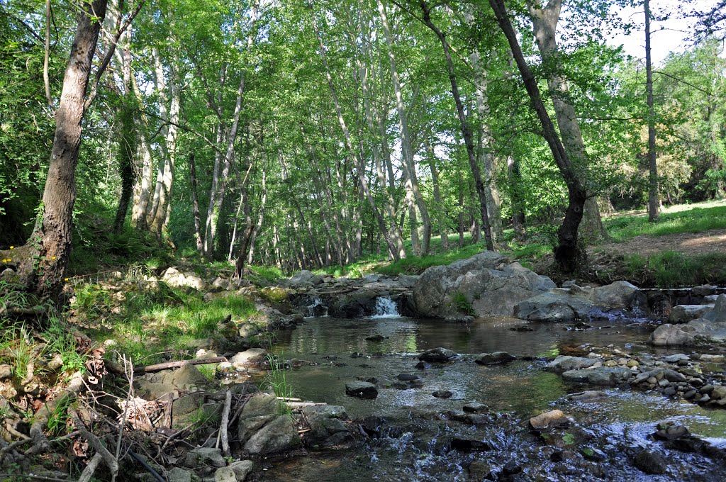 L'Onyar a Sant Dalmai by peremagria