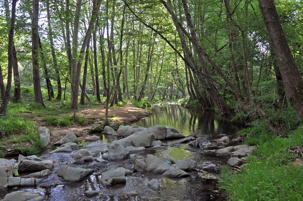 L'Onyar a Sant Dalmai by peremagria