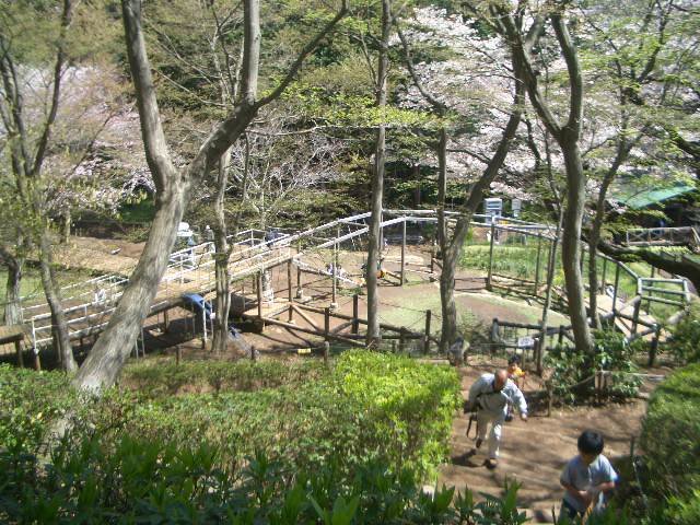 Ninomiya Azumayama Park by pyoipyoi