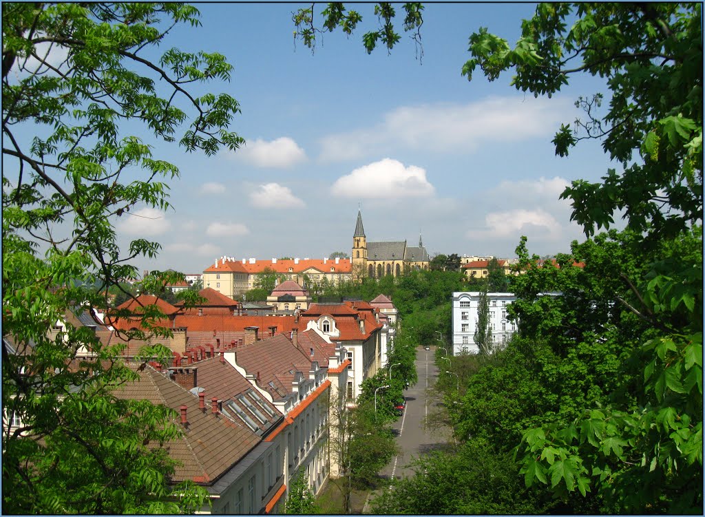 Nové Město, Albertov, kostel sv. Apolináře Na Větrově by J.V.Matoška