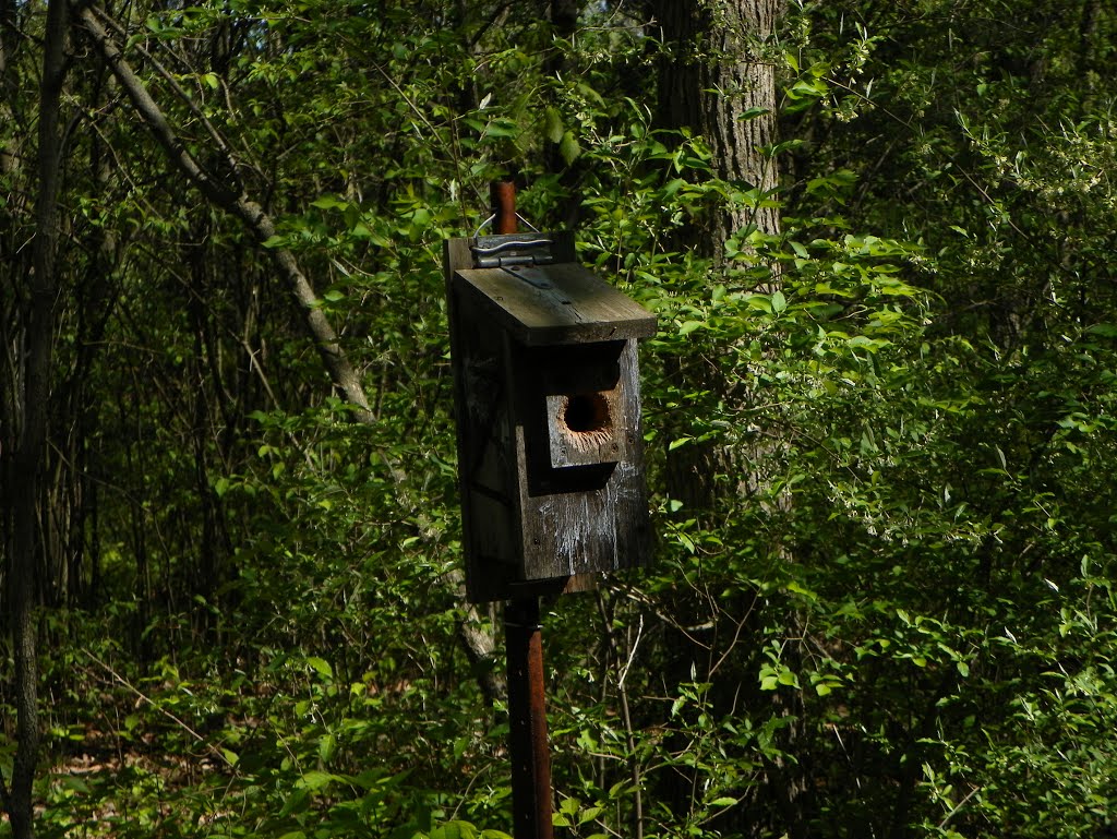 ACRES Little Wabash Nature Preserve by MikeFromholt