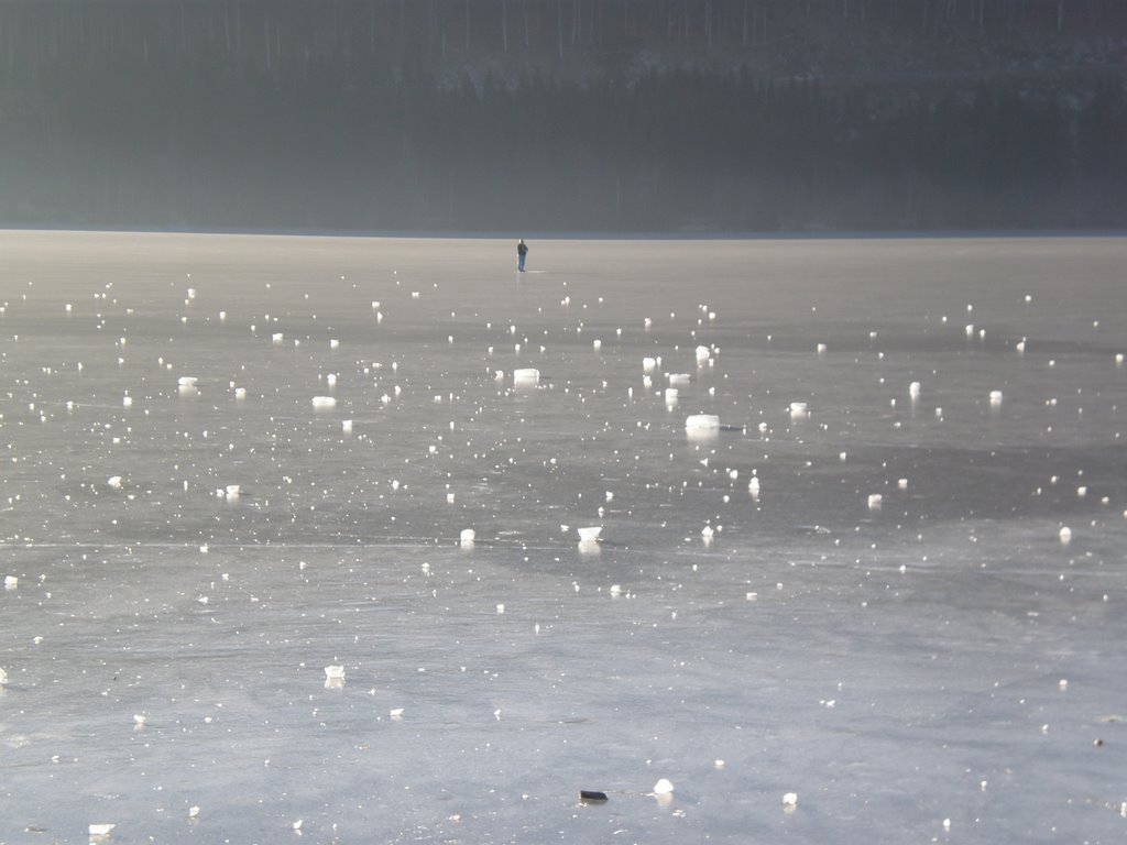 Lago Titisee Congelado by Zzebra