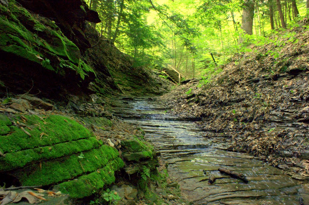 Into Rocky Hollow by tobarone