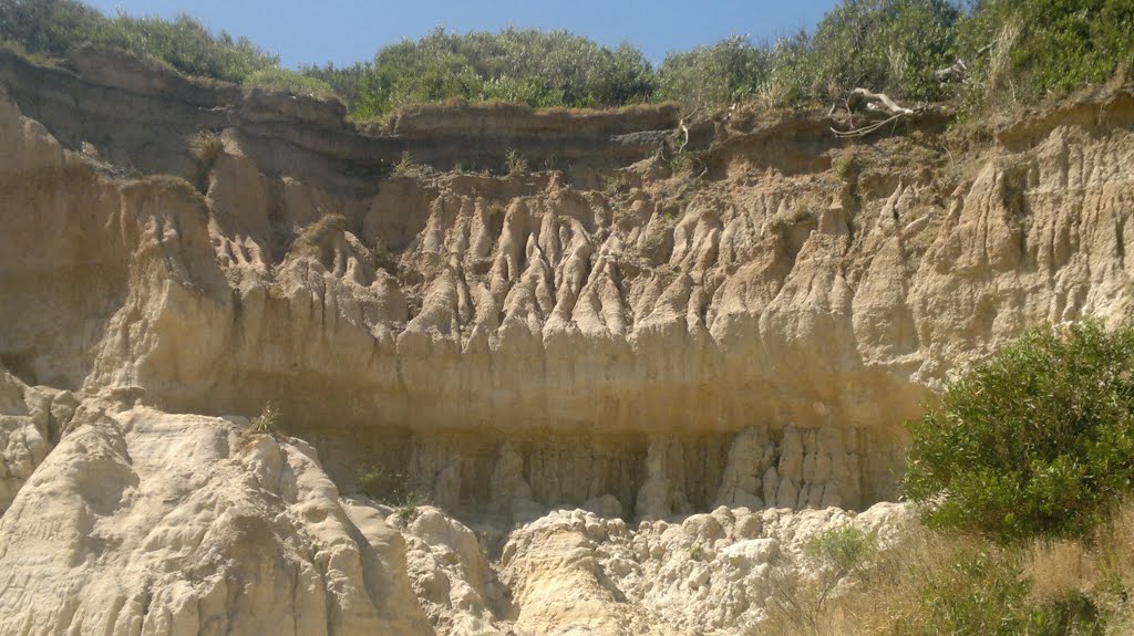 Barrancas erosionadas del Río del la Plata en Atlántida/Eroded Barrancas of River Plate in Atlántida/Barrancas erosionadas do Rio da Prata na Atlântida. by quiquito28