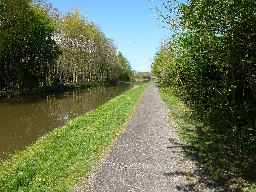 Looking North Along The Shropshire Union Canal. by Peter Hodge