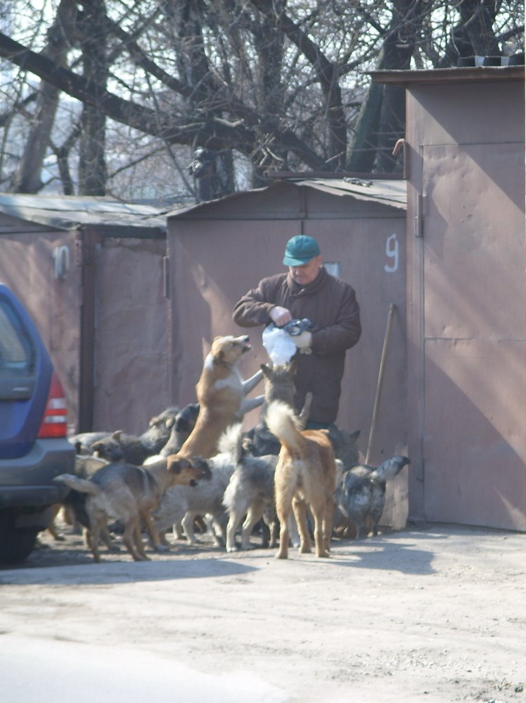 1-й Кабельный. Край бордячих собак. 1-st Cabelny. Home of Homeless dogs by Евгений Борисович Че…