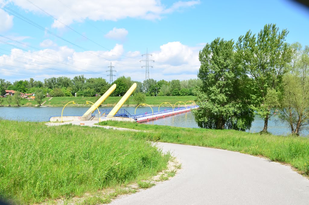 Waluliso, Fußgänger und Radfahrerbrücke by Leslieyamaha