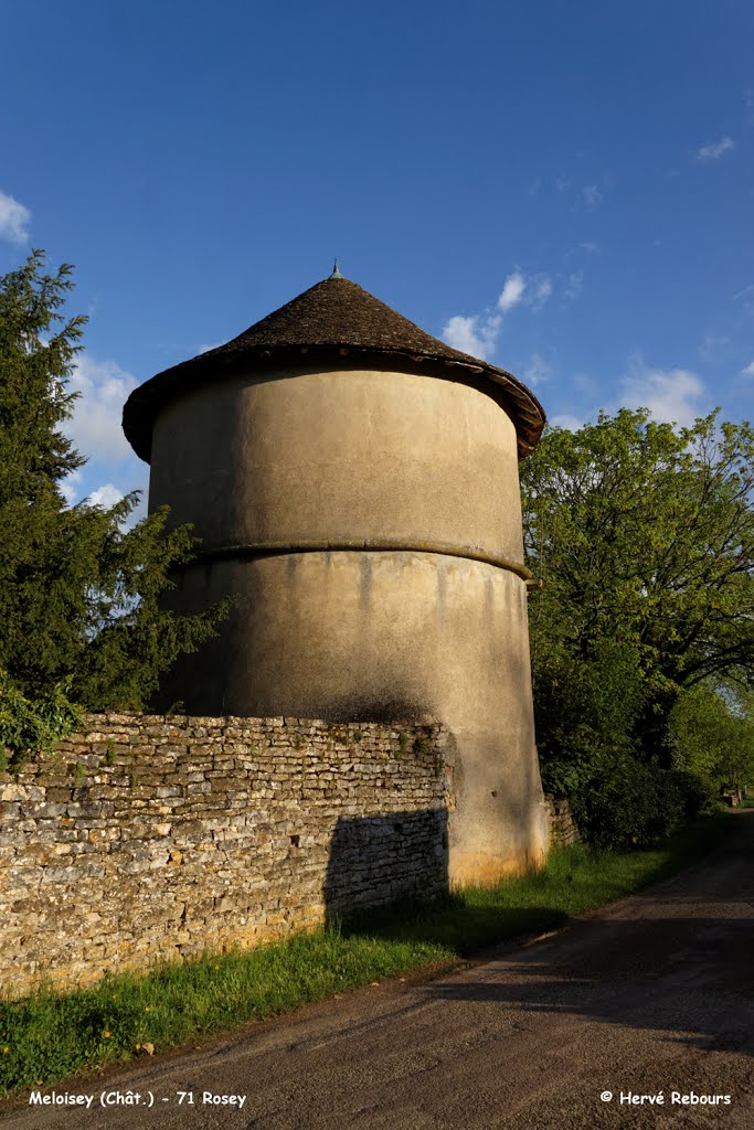 71 Rosey - Château de Meloisey Pigeonnier by H. Rebours