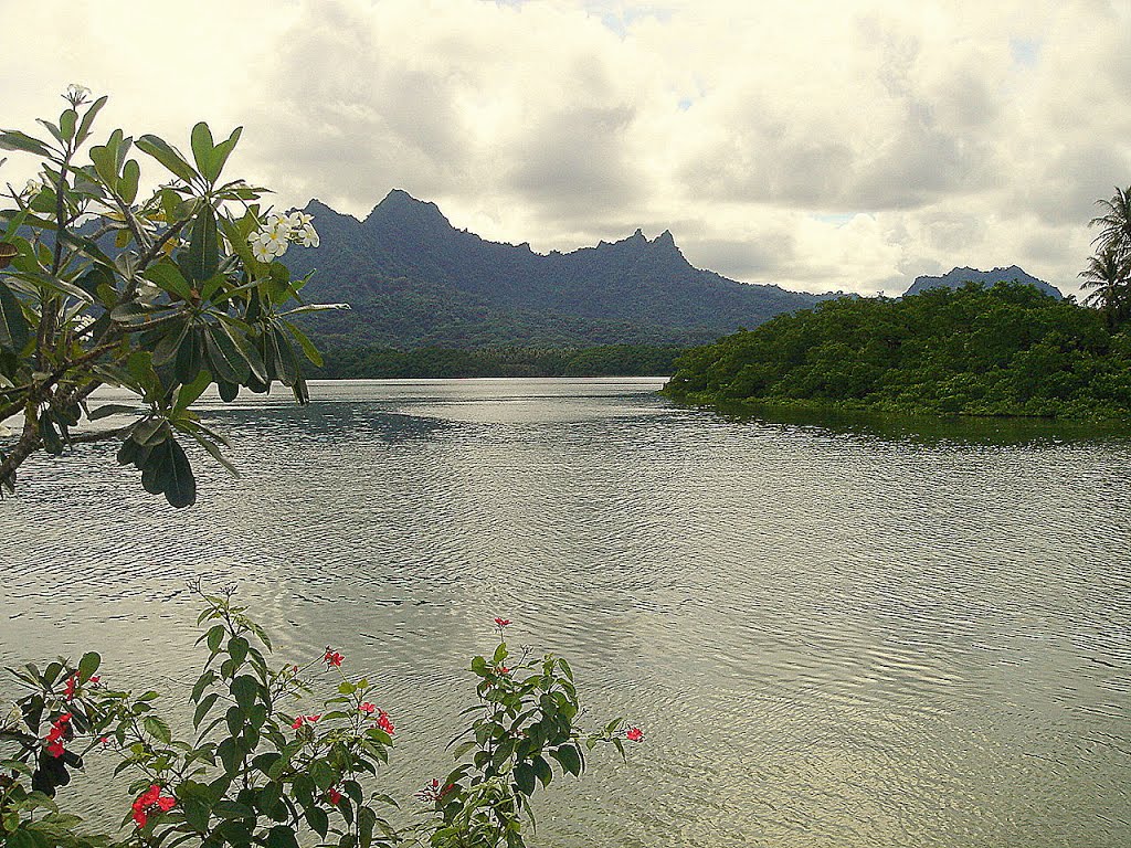 Kosrae island by Damien Personnaz