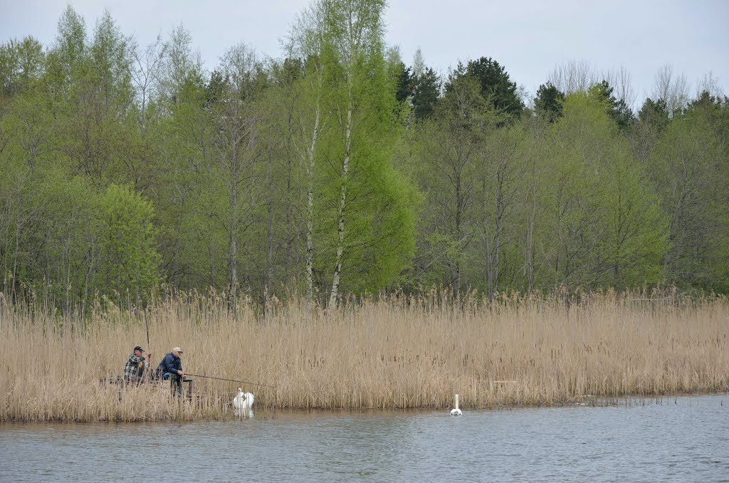 View to Vecdaugava from Mangaļu prospekts by Rudolph LV