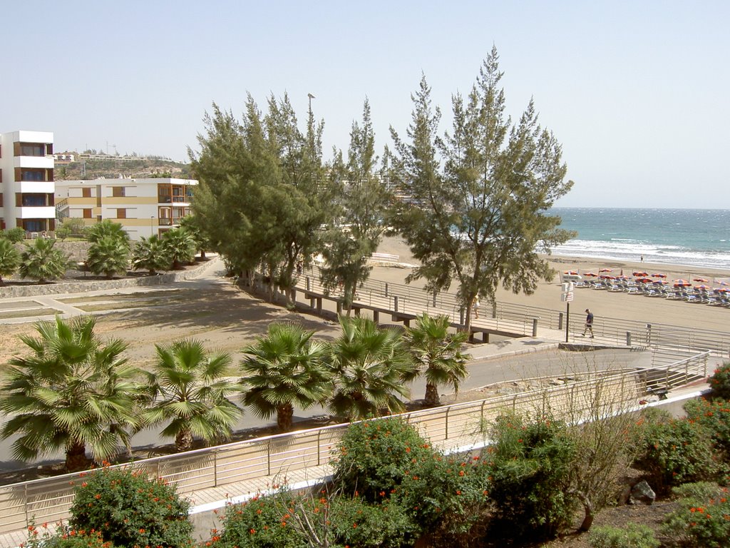 San Agustín, 35100 Maspalomas, Las Palmas, Spain by To Lo