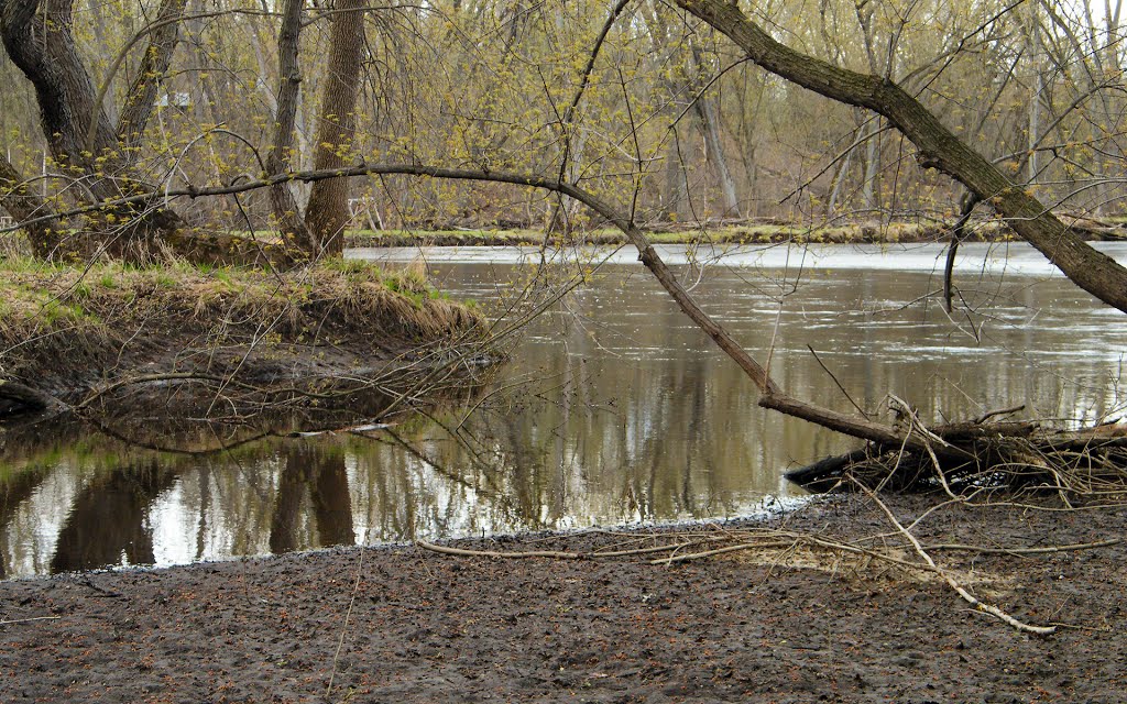 The Mouth of Cedar Creek, Cedar Creek Nature Area, Oak Grove, Minnesota by © Tom Cooper