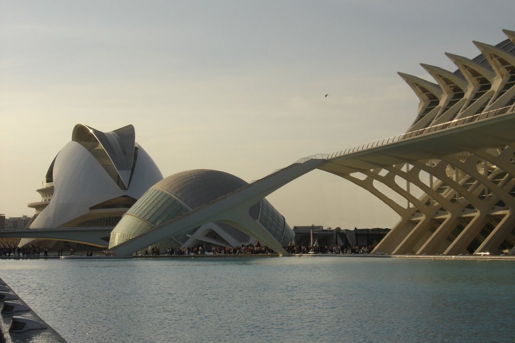 Valencia, Museo, Hemisférico y Palacio de las Artes by cesarcriado