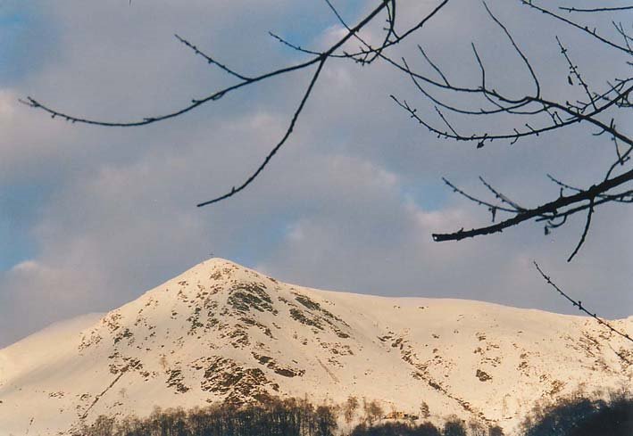 Crocione innevato by Arte RoRo