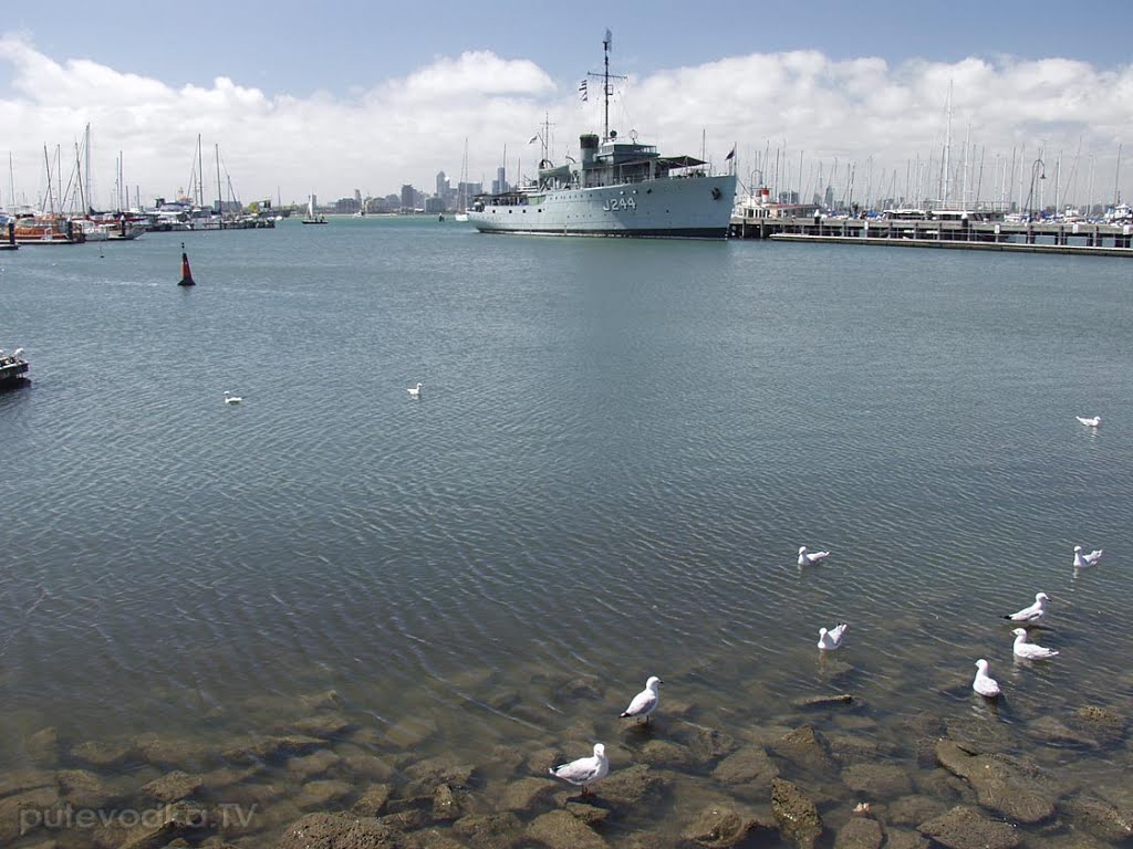 Williamstown. HMAS Castlemaine. Gulls. by Nata Putevodka