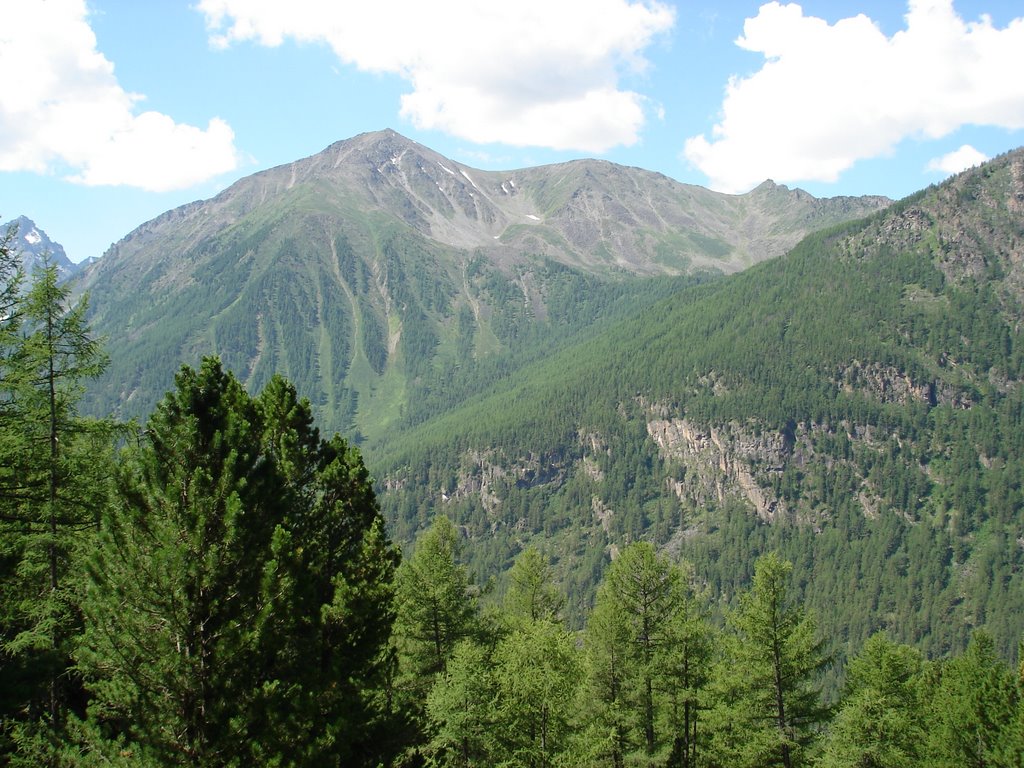 Ust'-Koksinskiy r-n, Altay Republits, Russia by misha samon