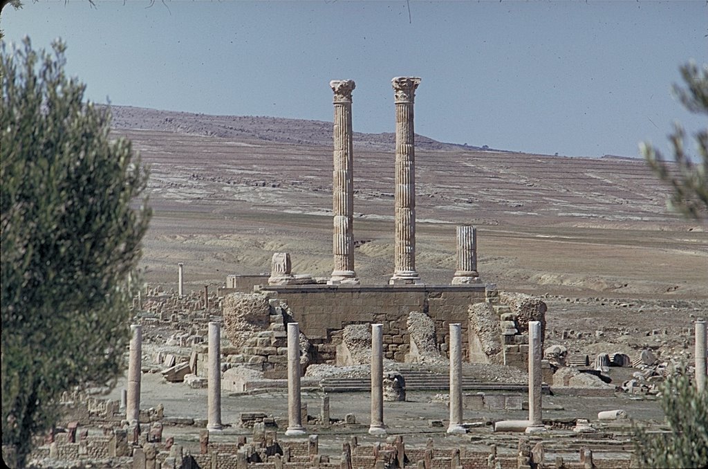 Timgad Le Capitole by loula290