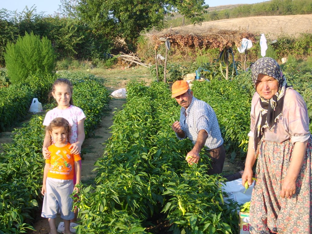 59300 Kalaycı/Malkara/Tekirdağ, Turkey by NAZMİ BAŞLIK