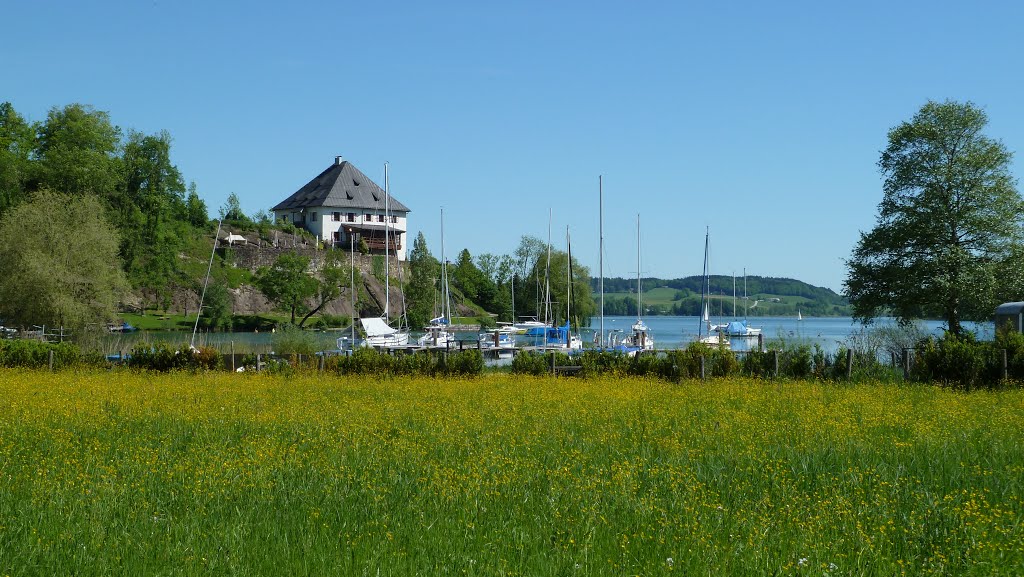 Mattsee - Weyerbucht by adi falb