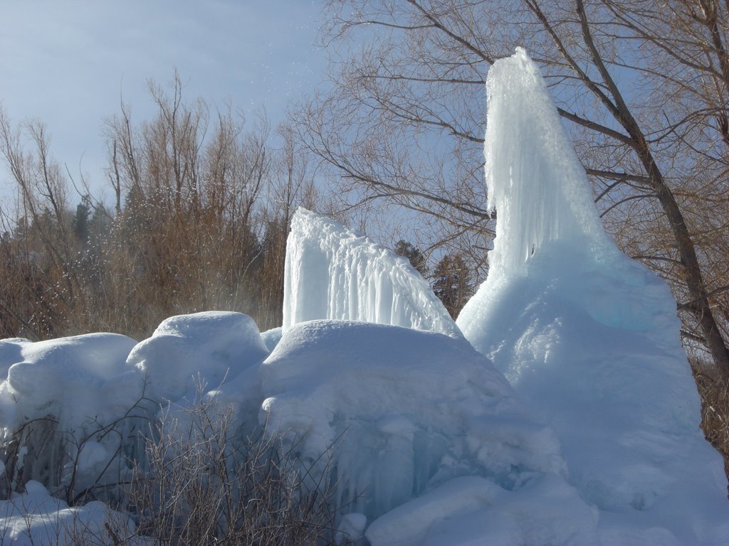 Heeney Ice Sculptures by Todd Stahlecker