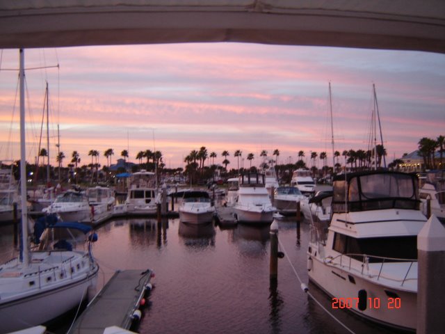 Halifax Harbor Marina, Daytona Bch. by Pleiades2