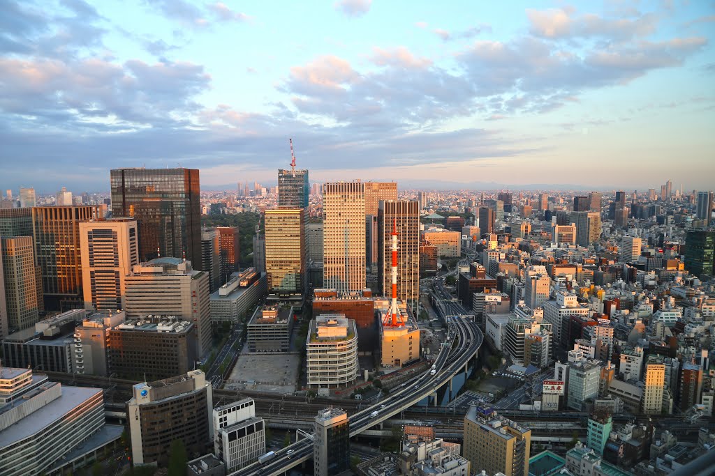 Early morning scenes of Tokyo taken from the Mandarin Oriental by kluke