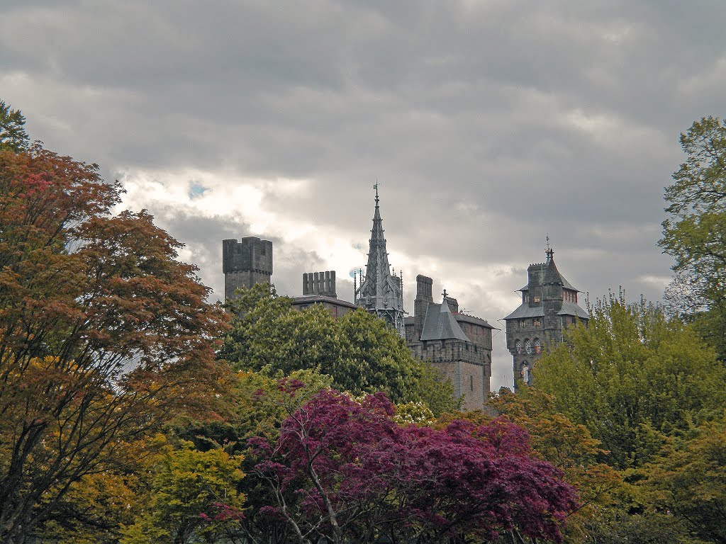 Cardiff Castle from Bute Park by David Owen