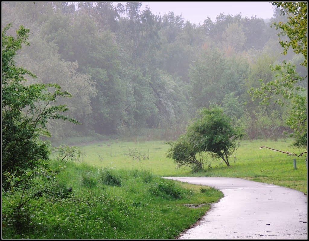 Rainy days by Tombstone65