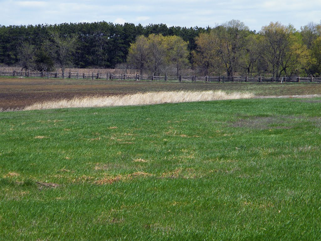 Mixed Field, Historic Oliver H. Kelly Farm, Elk River, Minnesota by © Tom Cooper