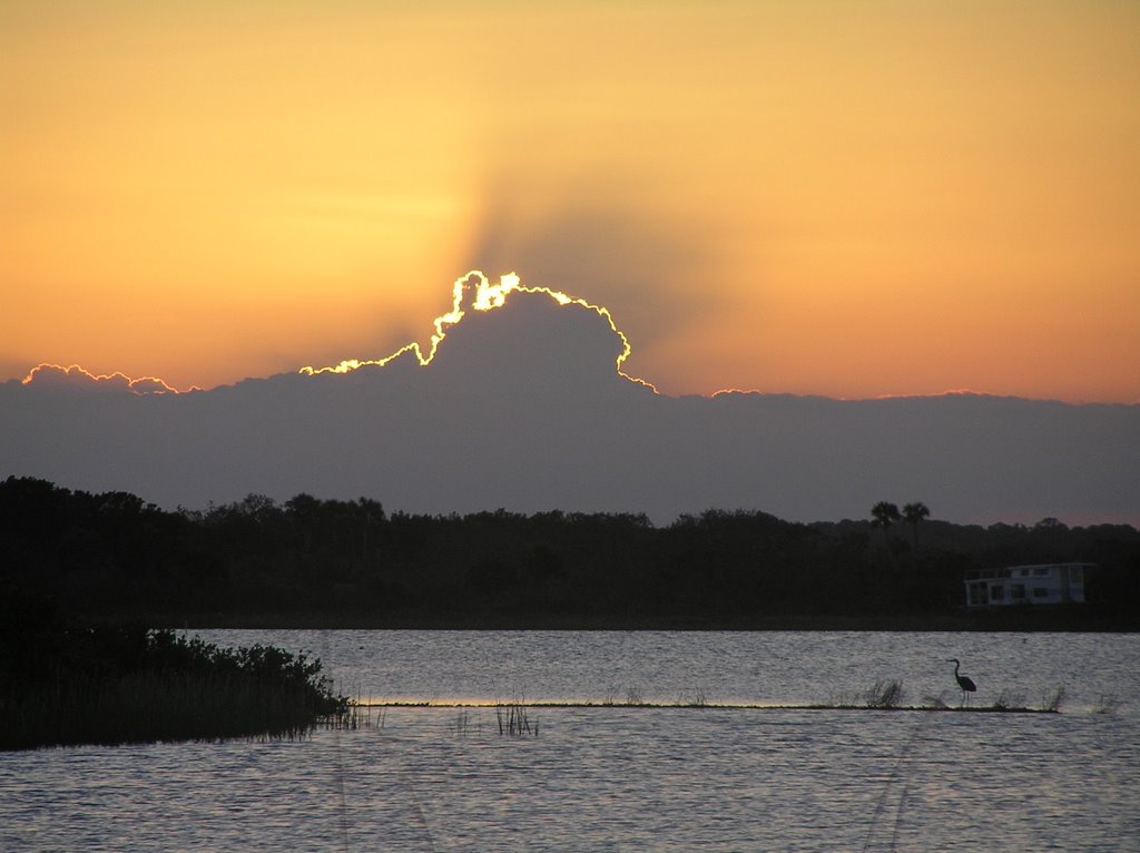 JB's Fish Camp, New Smyrna Beach, FL by tangov