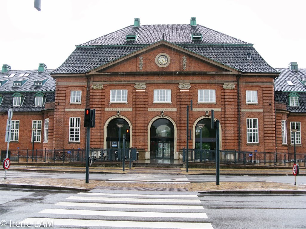 Odense Old Railway Station by Kingslie Ng