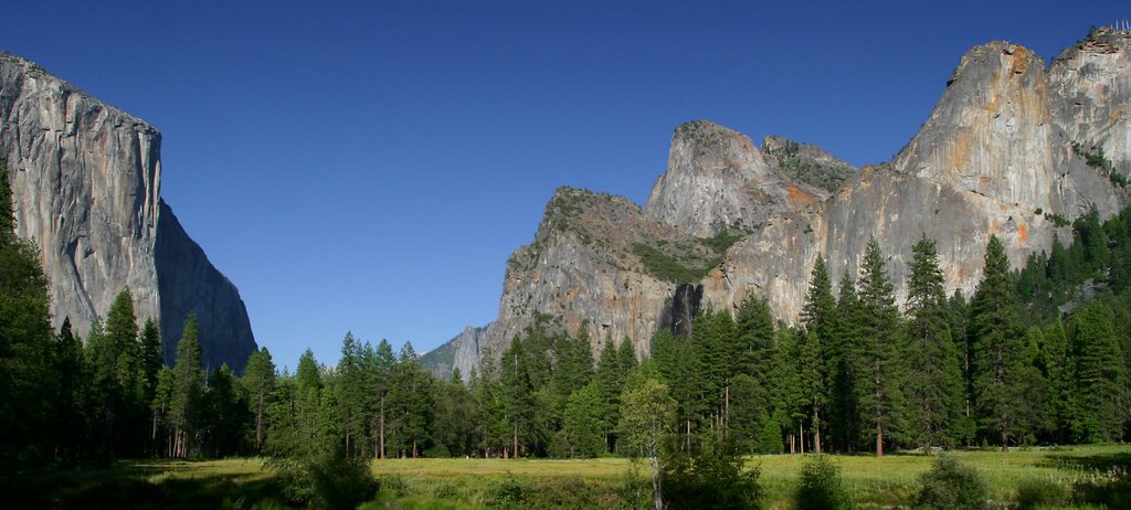 Yosemite Valley Meadows - High Summer by David Knight