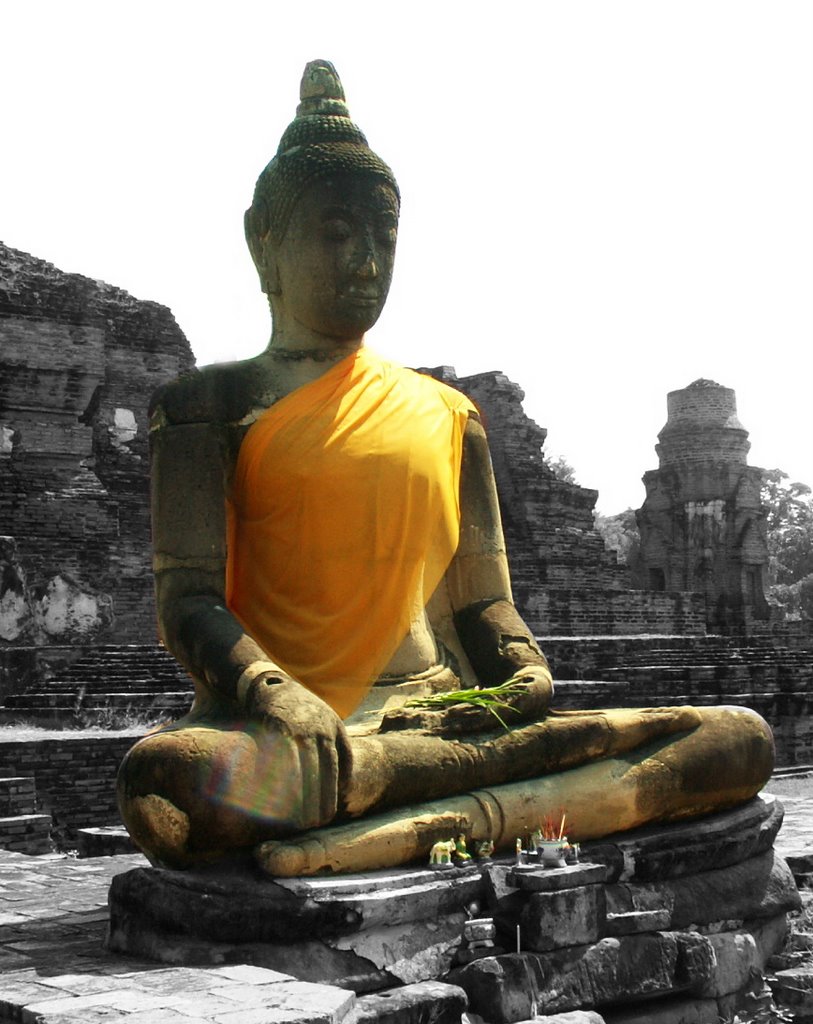 Budha,Ayutthaya by t.destroy