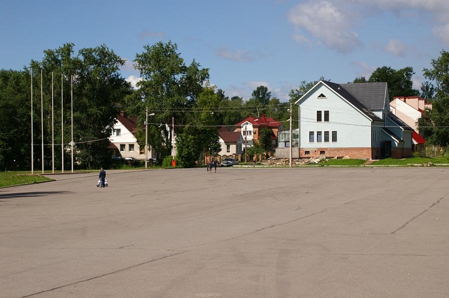 Частная застройка в Красном переулке (район площади Революции) / Private houses in the Red lane (area of the Square of the Revolution) (22/07/2007) by Dmitry A. Shchukin