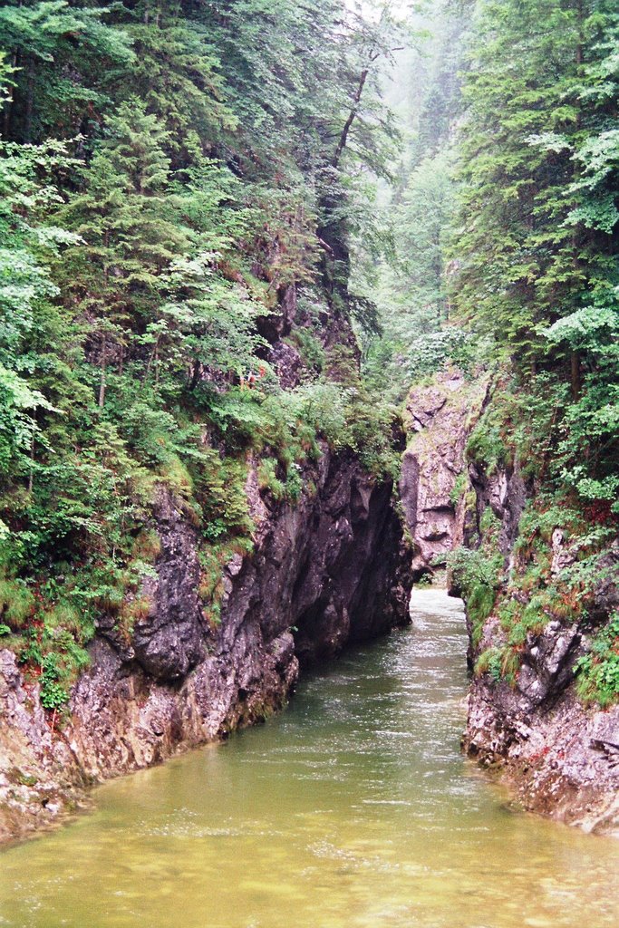 Kaiserklamm oberhalb von Pinegg by Armin Menzer