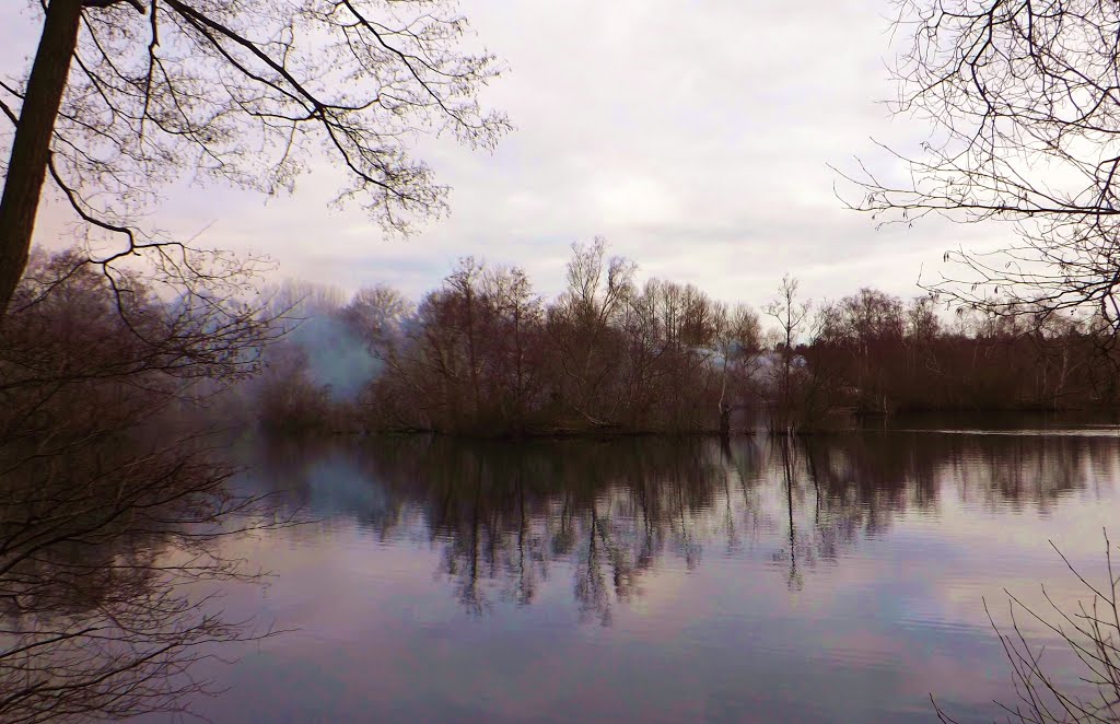 Narborough fishing lakes 2 by Flip Millard